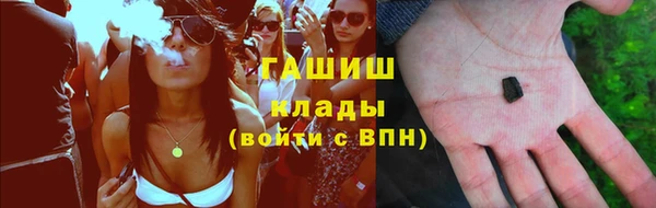 прущие грибы Алзамай