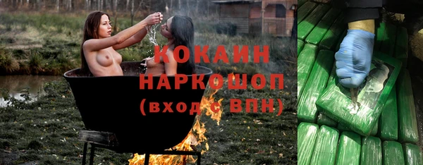 прущие грибы Алзамай