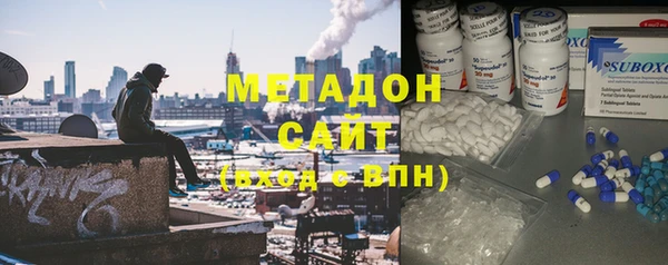 прущие грибы Алзамай