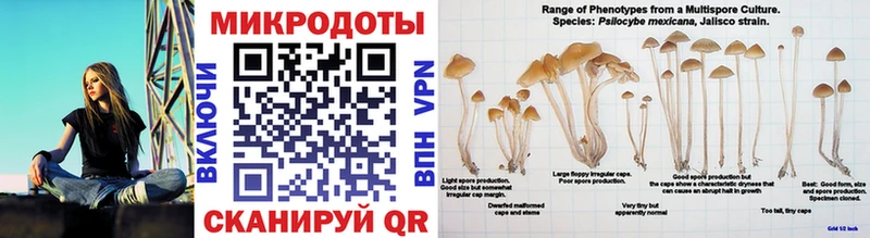 Галлюциногенные грибы ЛСД  дарнет шоп  Зарайск 